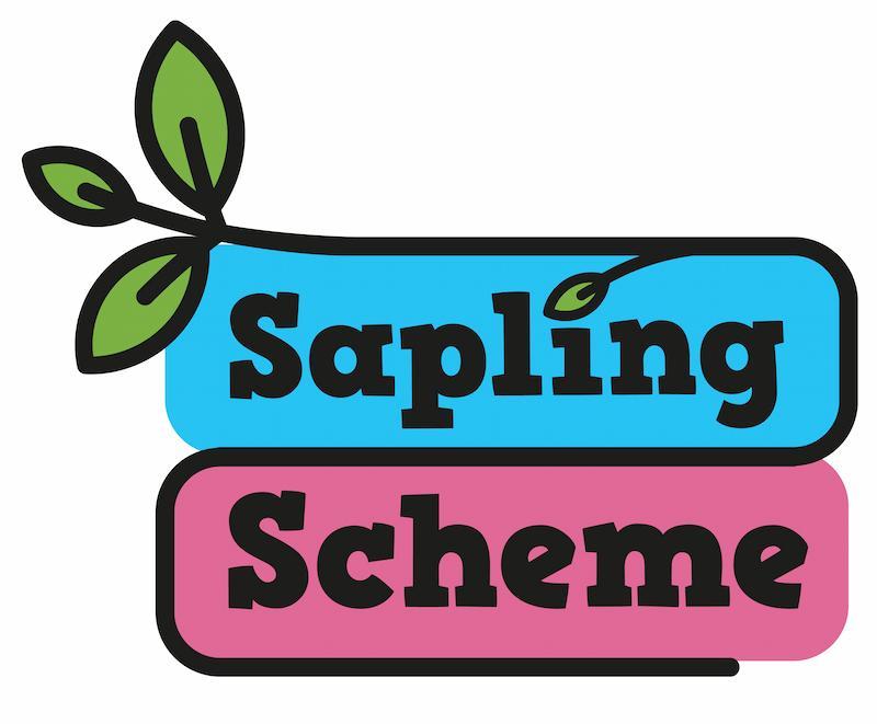 Graphic of a sapling with the text 'sapling scheme' on pink and blue backgrounds